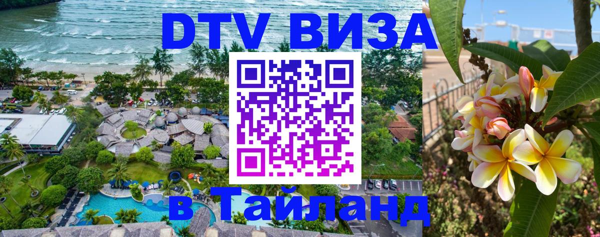 Оформление DTV визы под ключ: стоимость и тарифы, только загранпаспорт - 04.10.2025 